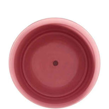 Anko Burgundy Stripe Ceramic Pot with Saucer