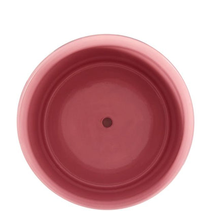 Anko Burgundy Stripe Ceramic Pot with Saucer
