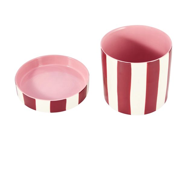 Anko Burgundy Stripe Ceramic Pot with Saucer