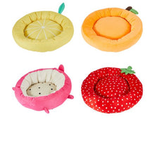 Anko Cat Novelty Bed - Assorted - Small