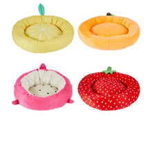 Anko Cat Novelty Bed - Assorted - Small