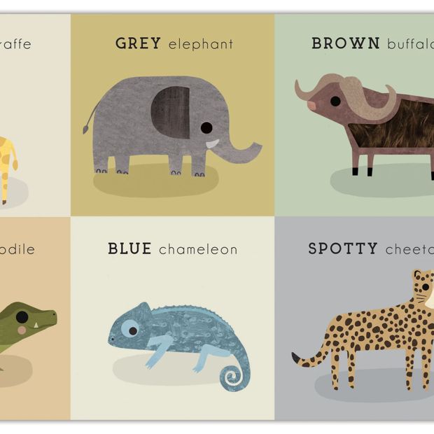 Baby Play: Wild by Rebecca Weerasekera - Book