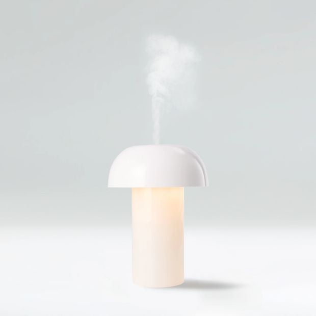 Anko Desktop Humidifier With Light