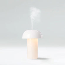 Anko Desktop Humidifier With Light