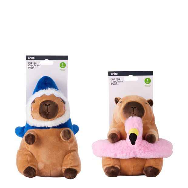 Pet Toy Capybara Plush  - Assorted - Anko