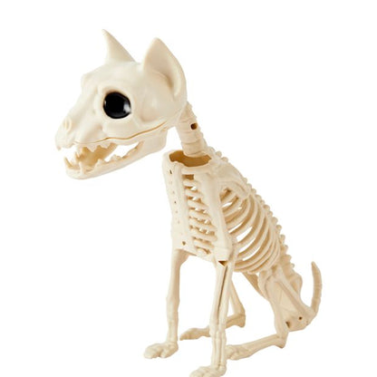 Anko Animal Skeleton