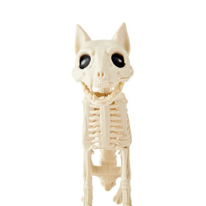 Anko Animal Skeleton