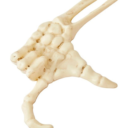 Anko 4 Pack Skeleton Hand Stakes