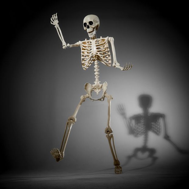 Anko Battery Operated LED Light Up Poseable Skeleton