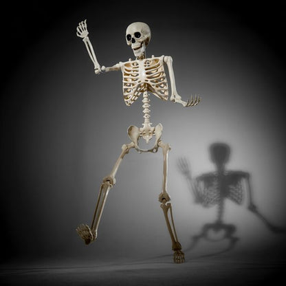 Anko Battery Operated LED Light Up Poseable Skeleton