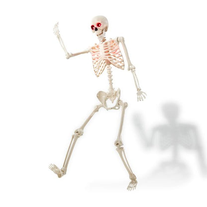 Anko Battery Operated LED Light Up Poseable Skeleton