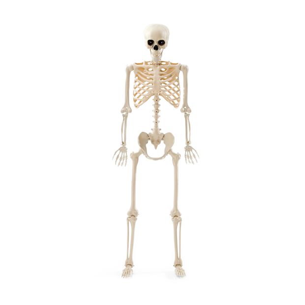 Anko Battery Operated LED Light Up Poseable Skeleton