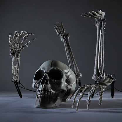 Anko Battery Operated LED Light Up Poseable Skeleton Stakes