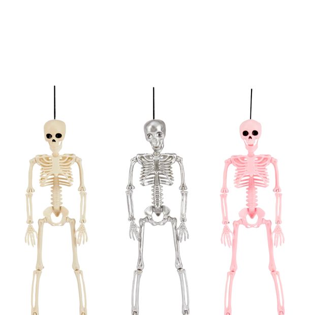 Anko Poseable Skeleton - Assorted