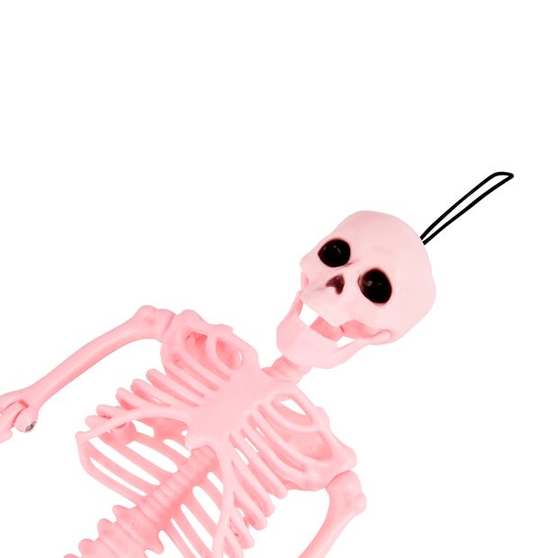 Anko Poseable Skeleton - Assorted