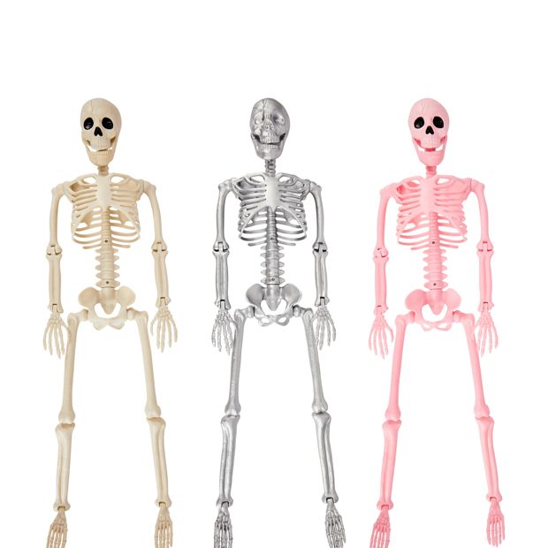 Anko 90cm Poseable Skeleton - Assorted