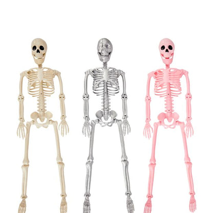 Anko 90cm Poseable Skeleton - Assorted