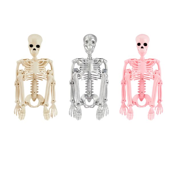Anko 90cm Poseable Skeleton - Assorted