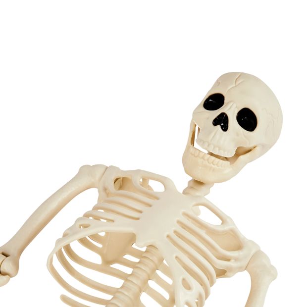 Anko 90cm Poseable Skeleton - Assorted