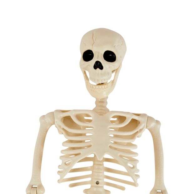 Anko 90cm Poseable Skeleton - Assorted