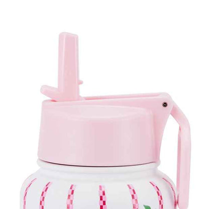 Anko 960ml Fruit Double Wall Insulated Cylinder Drink Bottle