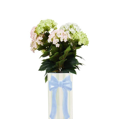 Anko Bow Stripe Vase