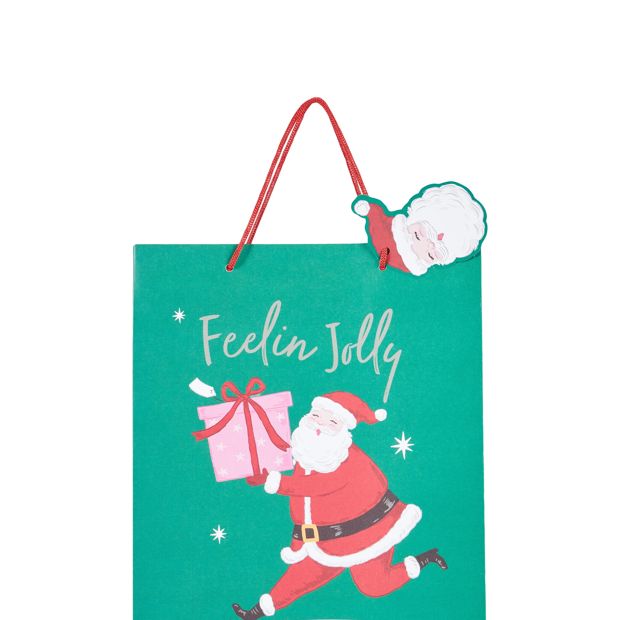 Anko Santa Gift Bag - Large