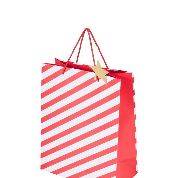 Anko Stripe Gift Bag - Large
