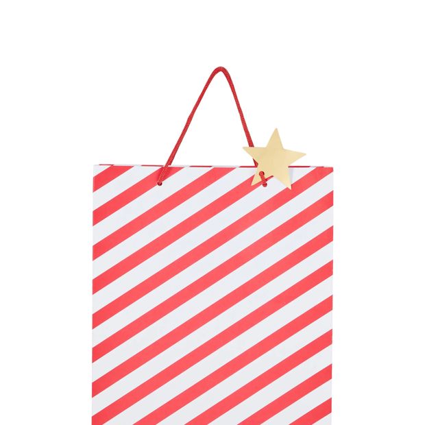 Anko Stripe Gift Bag - Large