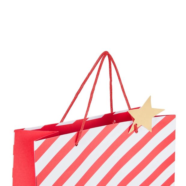 Anko Stripe Gift Bag - Large