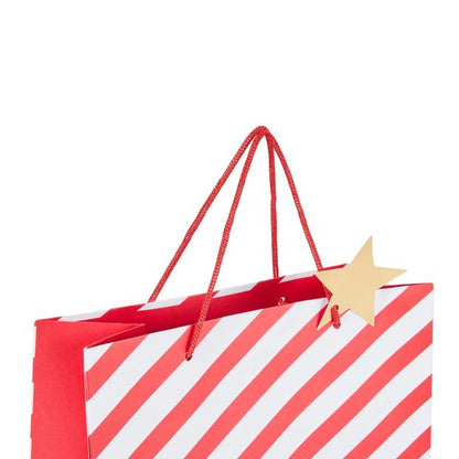 Anko Stripe Gift Bag - Large