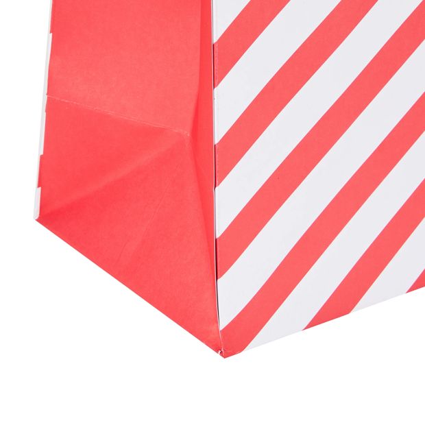 Anko Stripe Gift Bag - Large