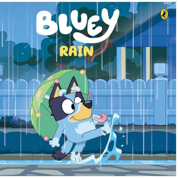 Bluey: Rain - Book