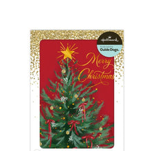 16 Pack Hallmark Boxed Christmas Cards - Traditional