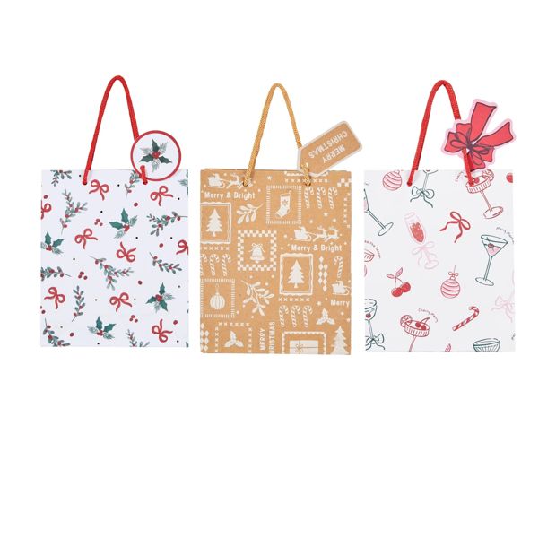 Anko Gift Bag - Small, Assorted