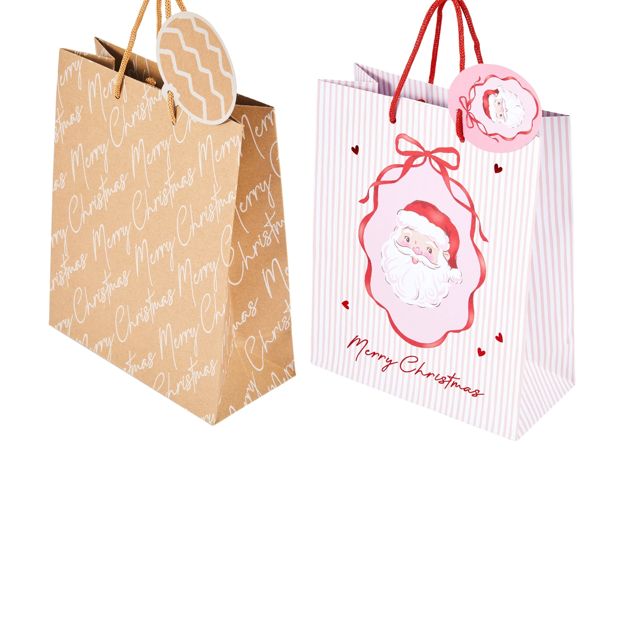 Anko Gift Bag - Medium, Assorted
