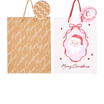 Anko Gift Bag - Medium, Assorted