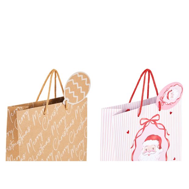 Anko Gift Bag - Medium, Assorted