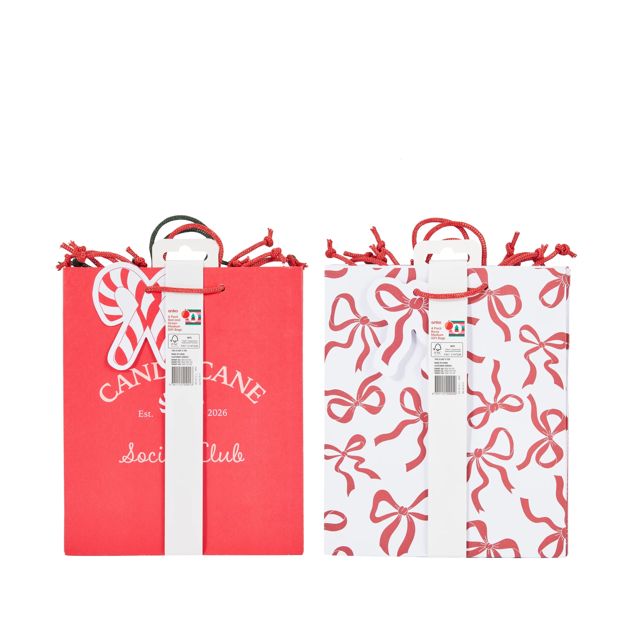 Anko 4 Pack Medium Gift Bags - Assorted