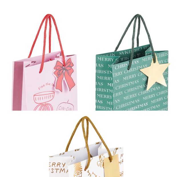 Anko 2 Pack Bottle Bags - Assorted