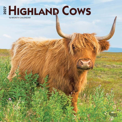 Highland Cows 2027 16-Month Calendar