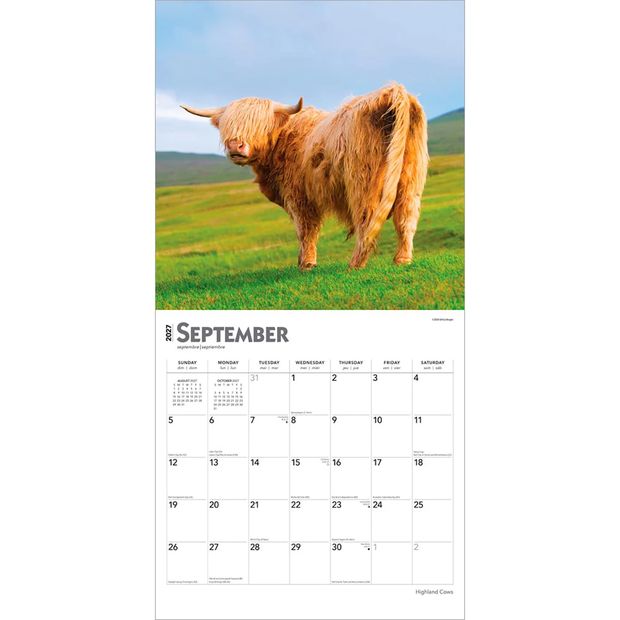 Highland Cows 2027 16-Month Calendar