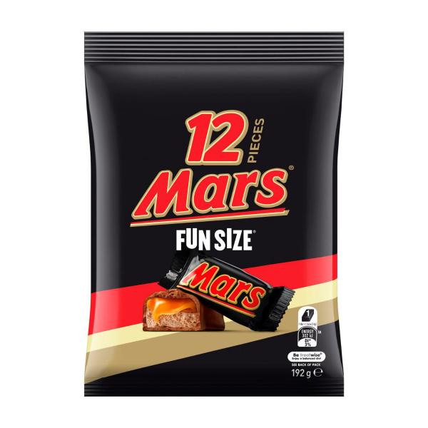 MARS CHOCOLATE FUN SIZE SHARE BAG 12 PIECES 192G
