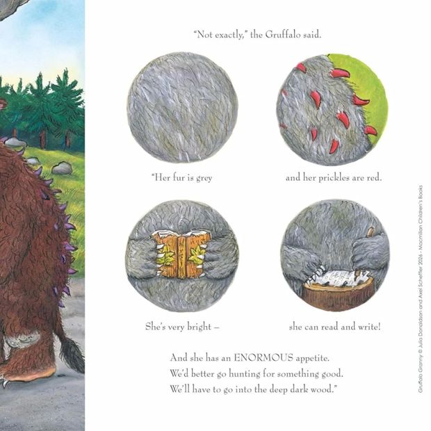 Gruffalo Granny by Julia Donaldson - Book
