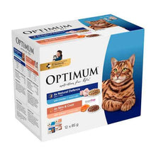 Adult Wet Cat Food Natural Defences with Chicken & Skin & Coat with Salmon 24x85g