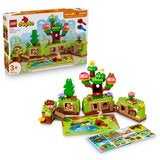 LEGO DUPLO Discovery Forest with Wild Animals 10480