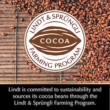 Lindt Excellence 95% Cocoa Dark Chocolate Block 80g