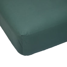 250 Thread Count Cotton Rich Fitted Sheet - Queen Bed, Teal