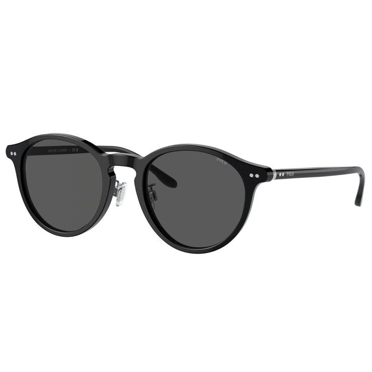 Polo PH4193F 500187 Men's Sunglasses