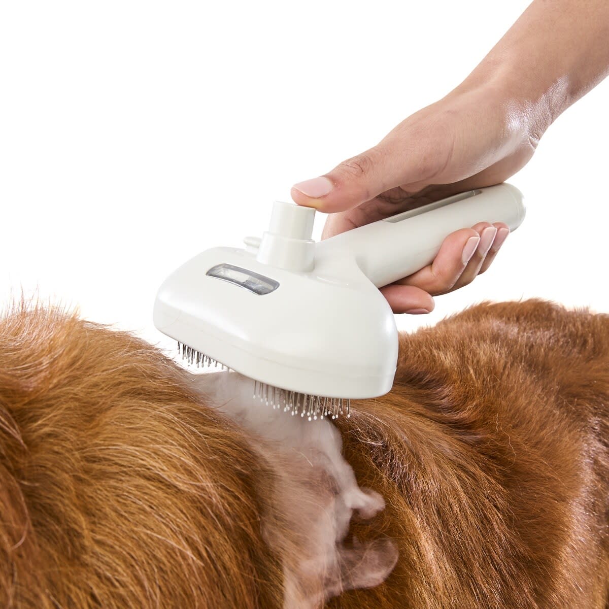 Pet Steamer Comb